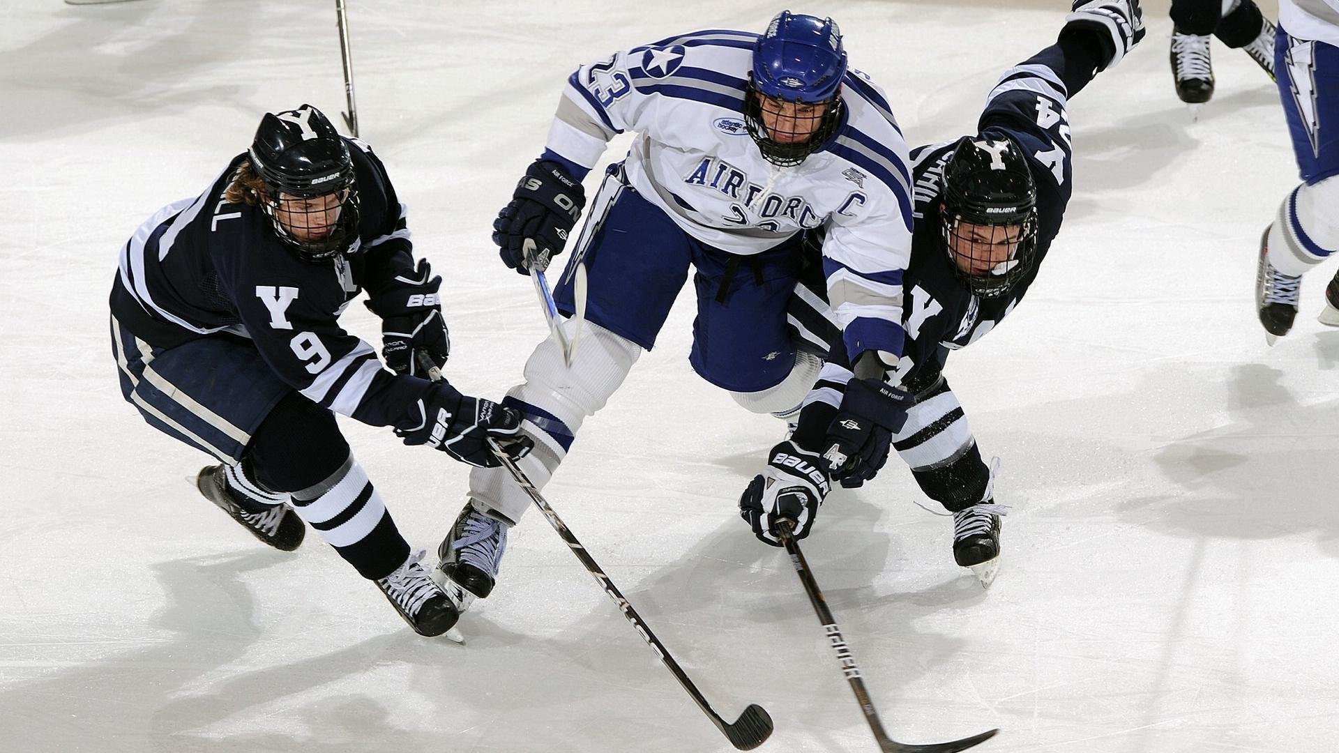 “简阳文体中心：全球顶级选手争霸羽毛球赛场”